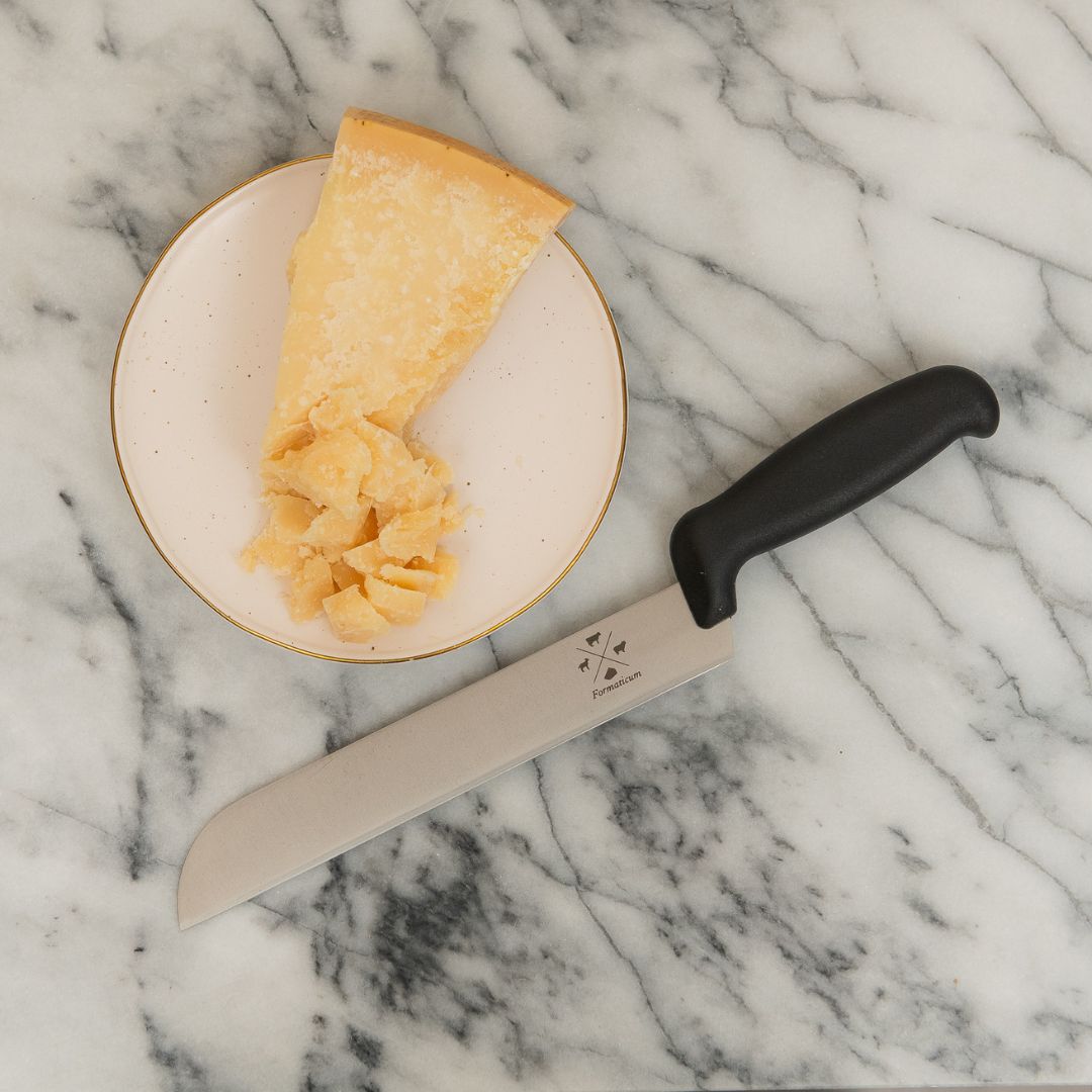 Couteau à fromage de dégustation professionnel – Formaticum
