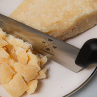 Professional Cheese Knife - Plastic Handle