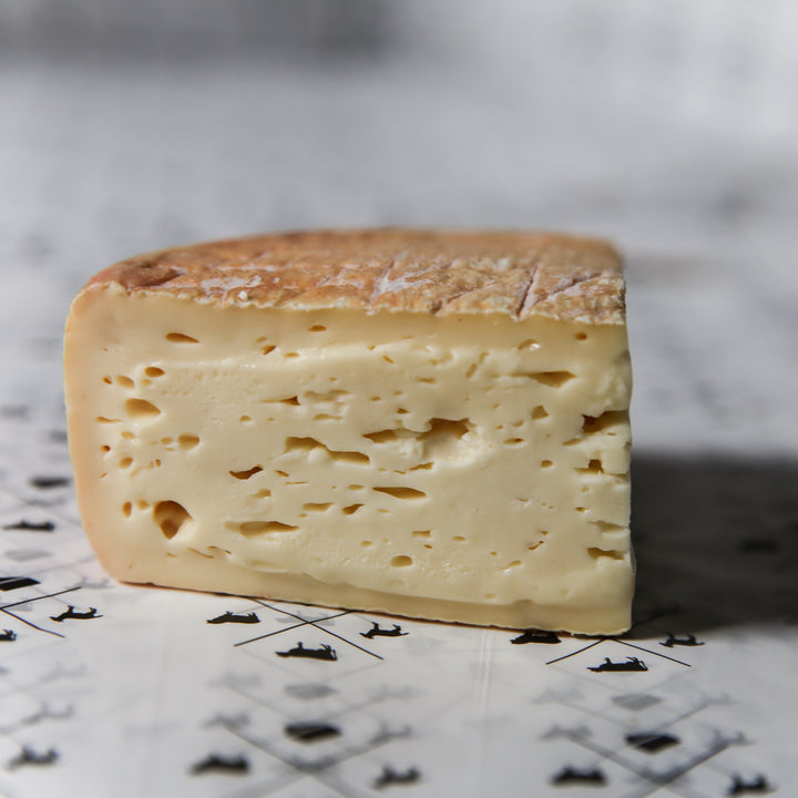 Why A Piece of Cheese is a Ticking Timebomb