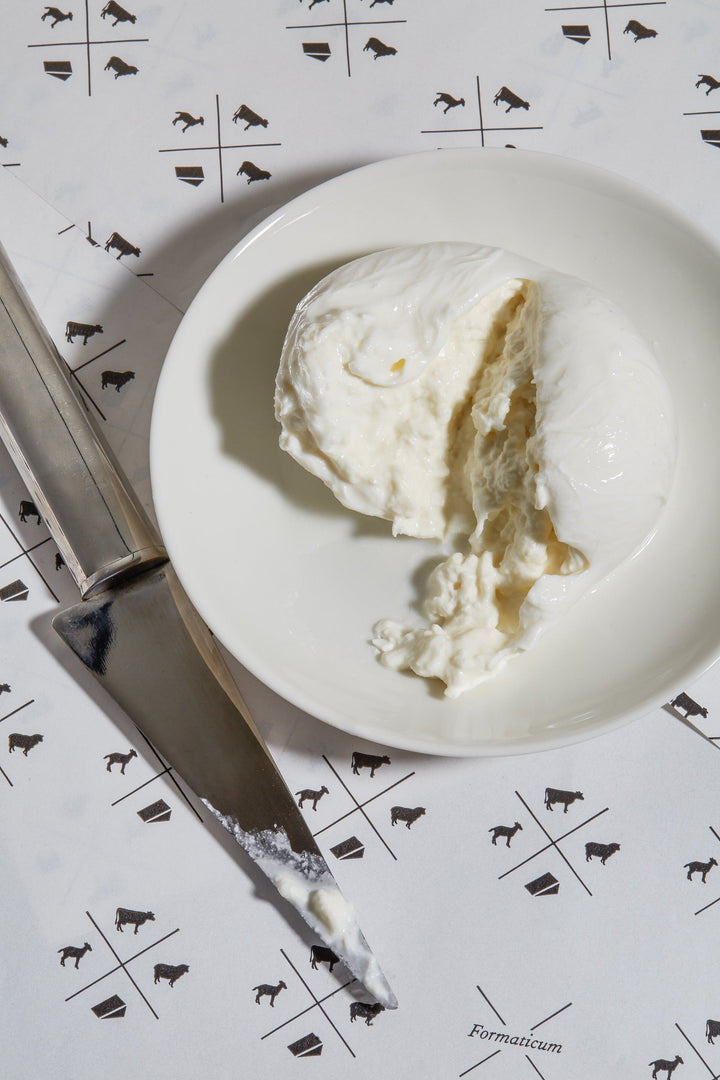 Breaking Down Burrata: A Guide to Mozzarella & Friends