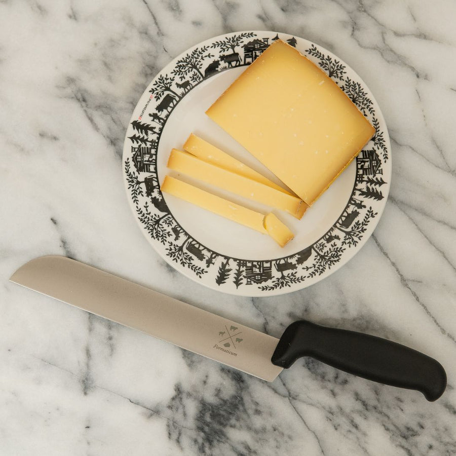 Professional Cheese Knife - Plastic Handle