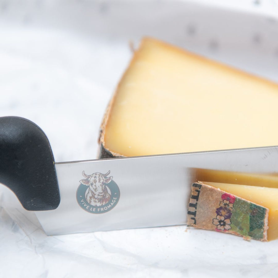 Professional Cheese Knife - Plastic Handle