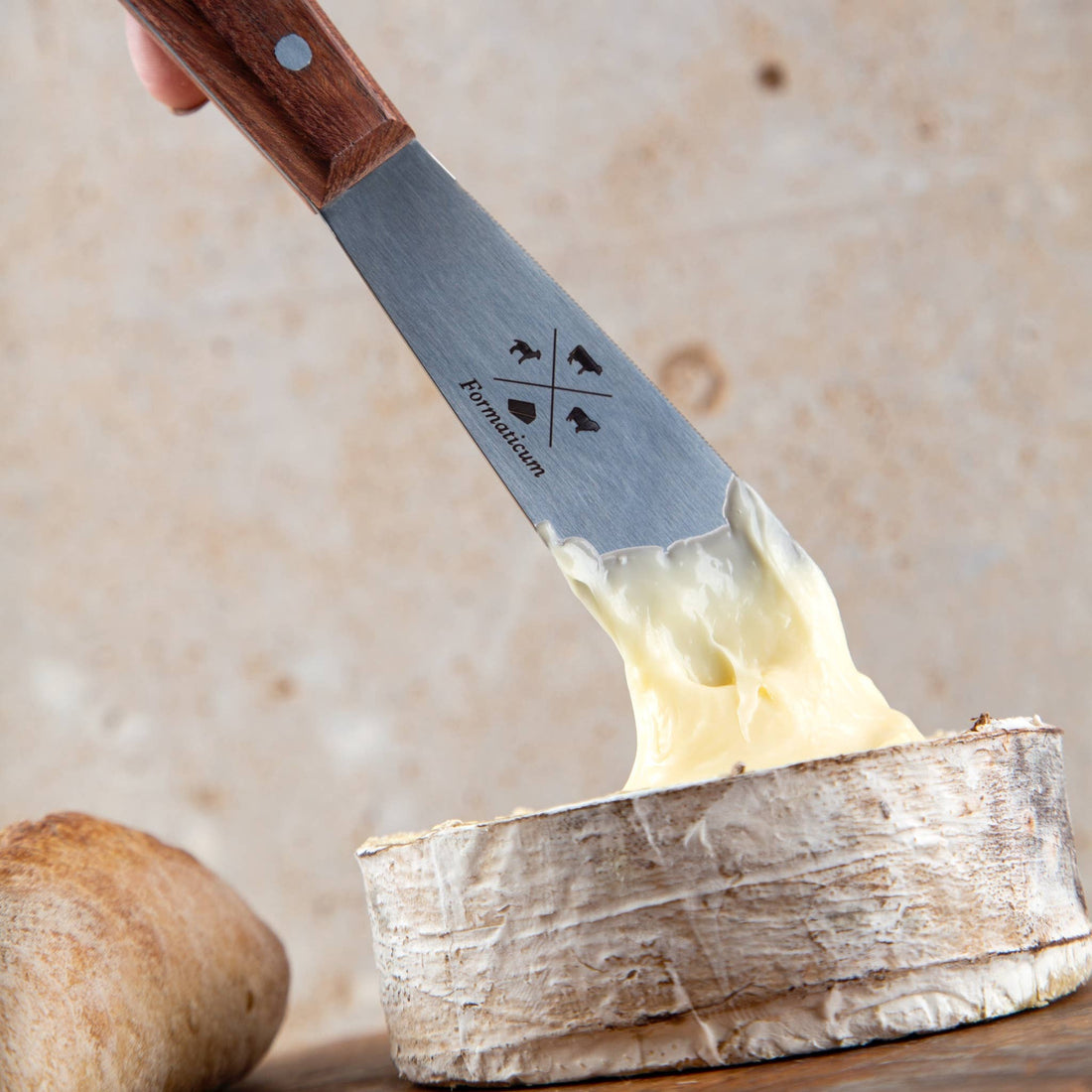 Professional 4 Knife Set - Olive Wood Handles