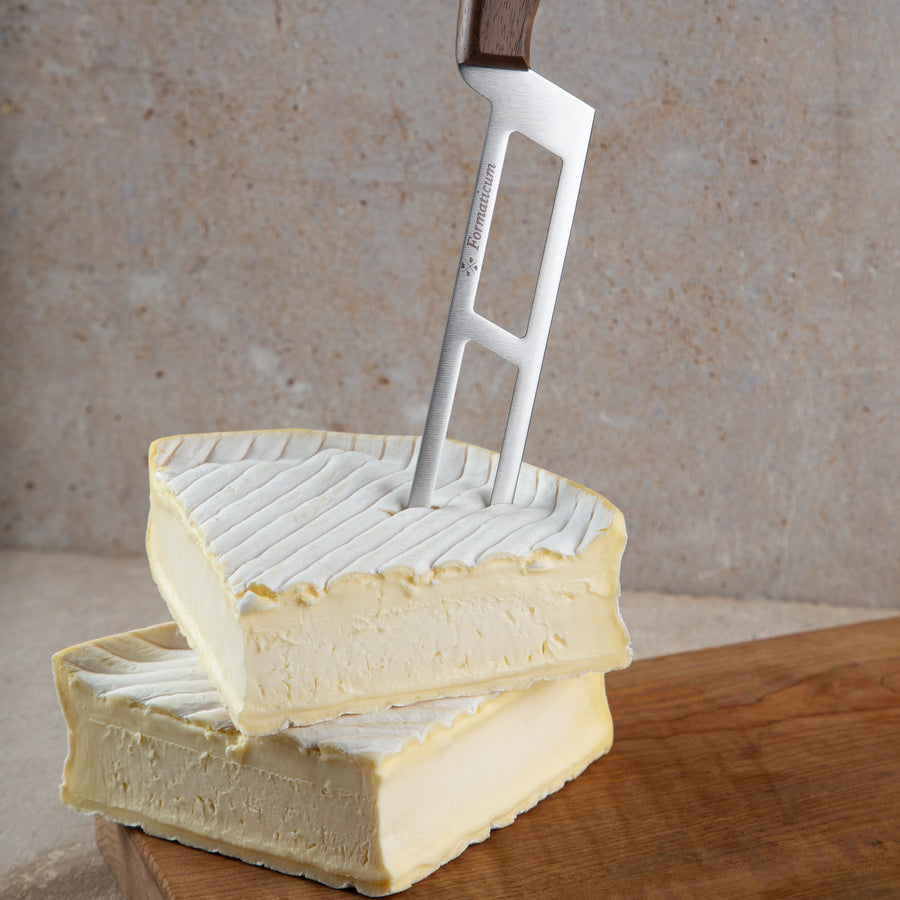 Professional Soft Cheese Knife