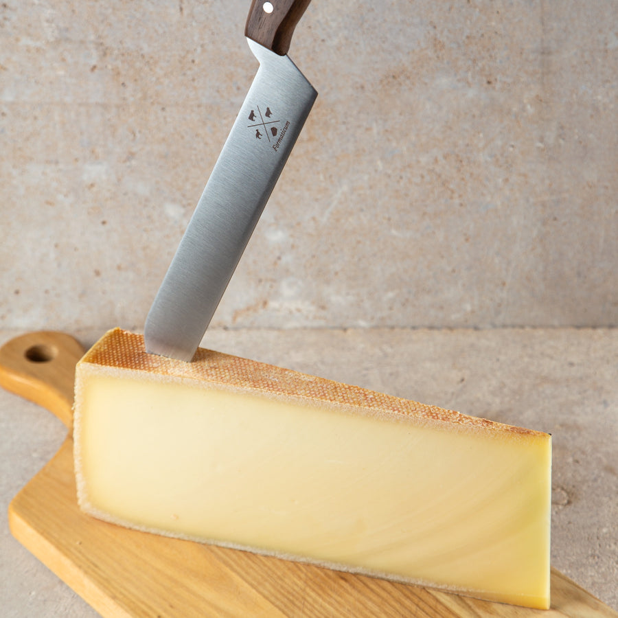 WÜSTHOF Cheese Knife